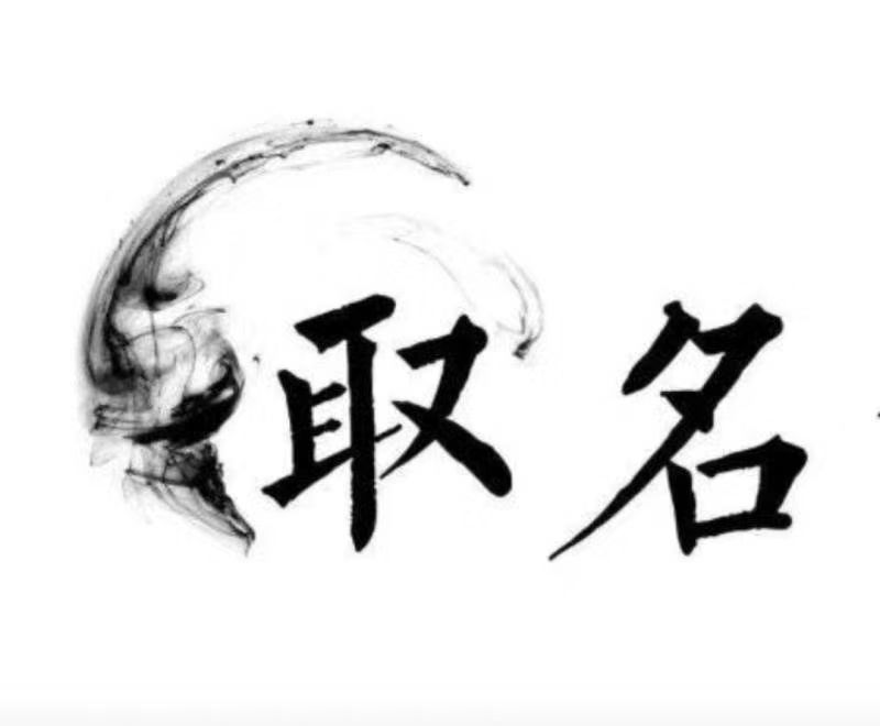  加查宝宝取名 大师一对一人工起名